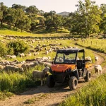 Terrain Dx4 800